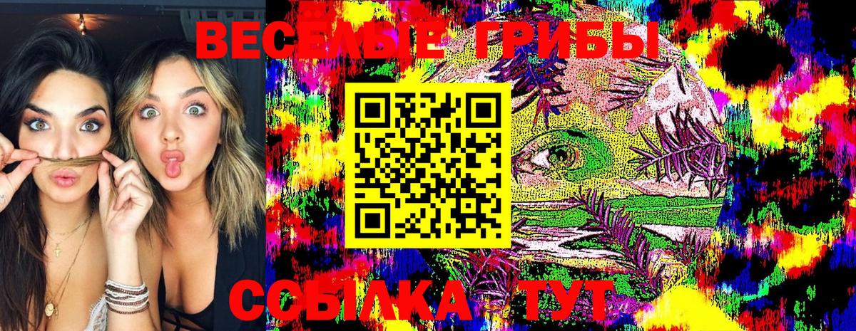 Псилоцибиновые грибы GOLDEN TEACHER Ликино-Дулёво